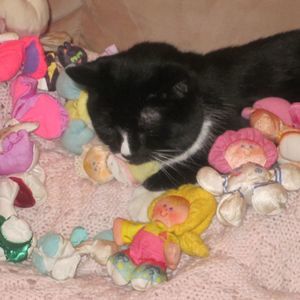 Meet your Posher, Sandy